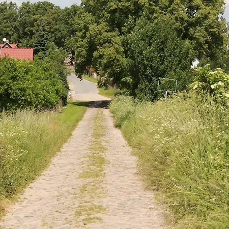 Semesterbostad Bungalow Gross Dratow