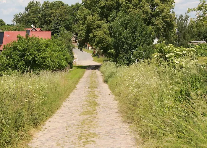 Holiday home Bungalow Gross Dratow